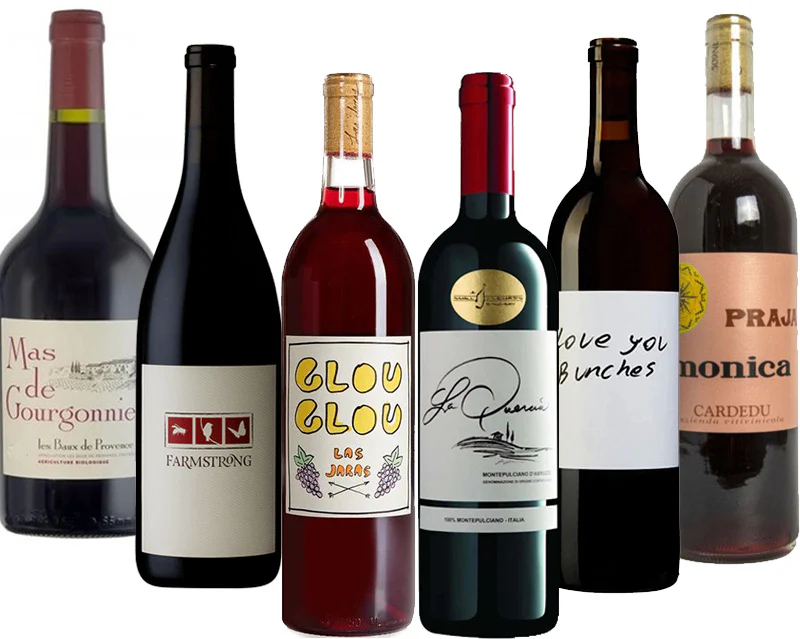 Chillable Summer Reds Mixed 6 Bottle Case