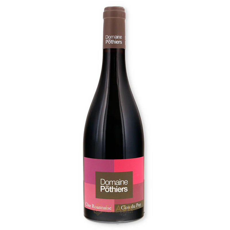 Domaine des Pothiers Cote Roannaise Clos du Puy Gamay 2020